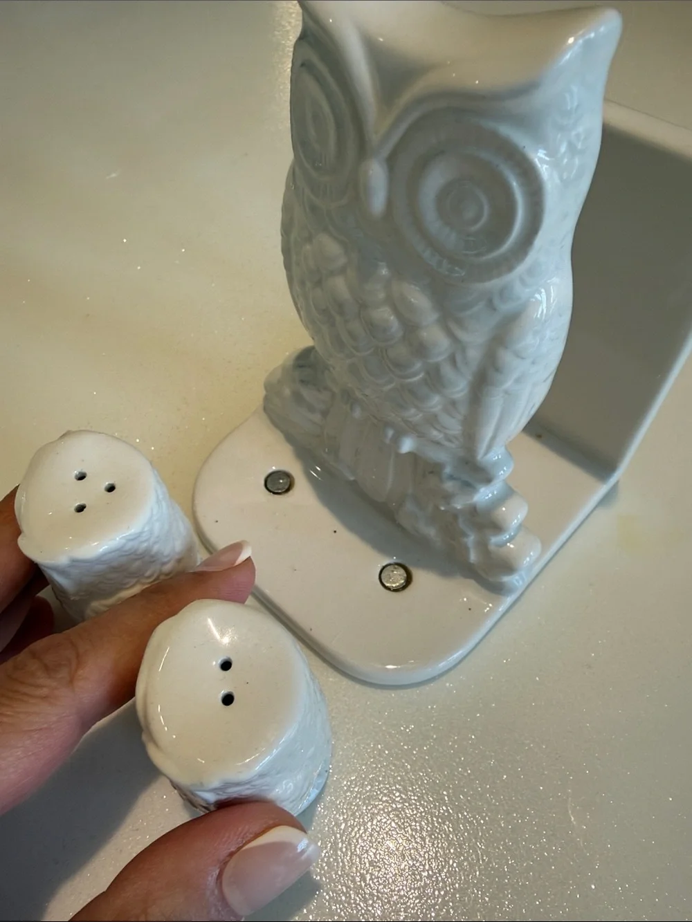 Vintage White Owl Salt and Pepper Set with Napkin Holder